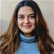 Offro ripetizioni a ragazzi elementari, medie e superiori. Preparazione esami e recupero debiti scolastici!